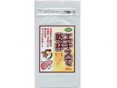 東洋酵素
